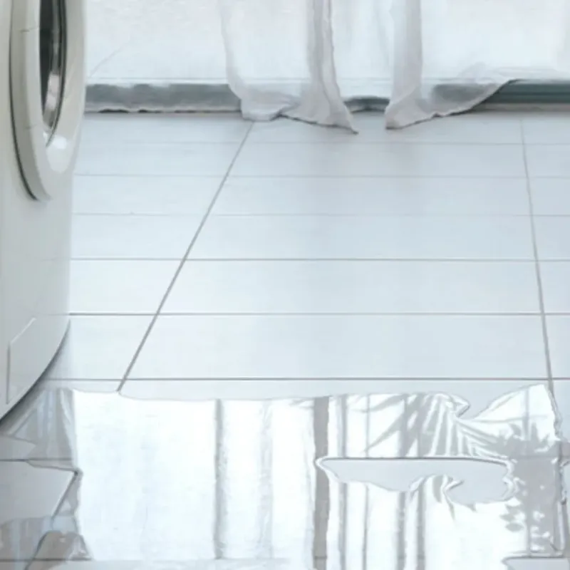 Appliance Leak Cleanup in Miami County, KS