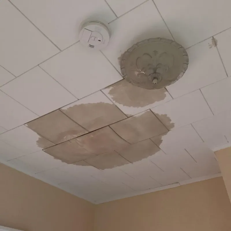 Ceiling Water Damage Repair in Miami County, KS