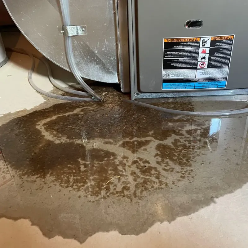 Pipe Burst and Leak Restoration in Miami County, KS