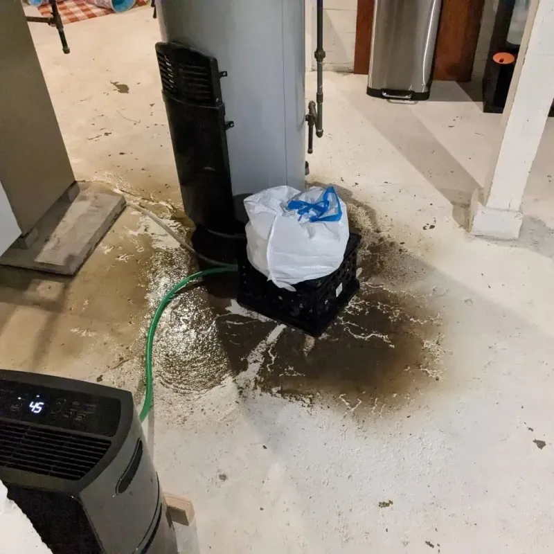 Sewage Backup Cleanup Service in Miami County, KS